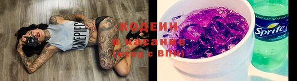 молекула духа Кинешма