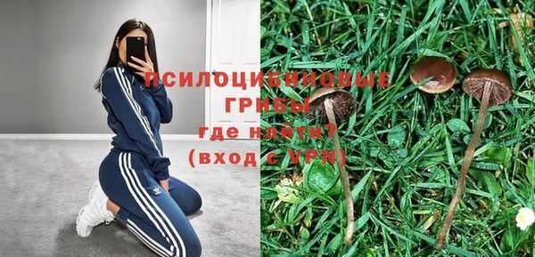 спайс Киреевск